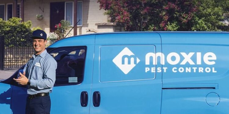 moxie-pest-control-what-you-should-know