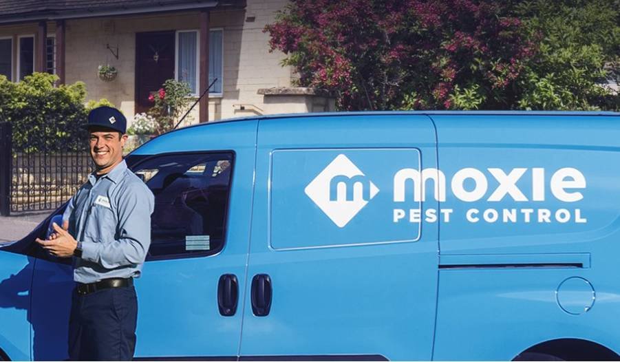 Moxie Pest Control What You Should Know