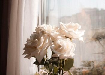 Flower Wallpaper iPhone