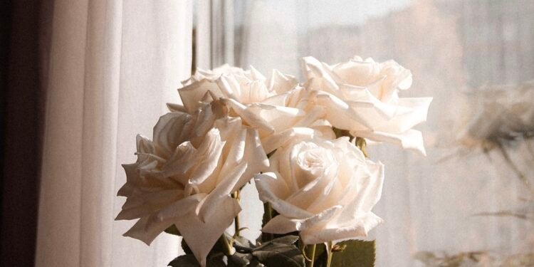 Flower Wallpaper iPhone