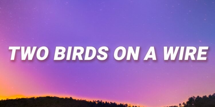 Two Birds on a Wire