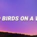 Two Birds on a Wire