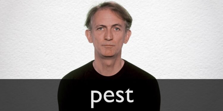 Pest Meaning
