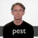 Pest Meaning