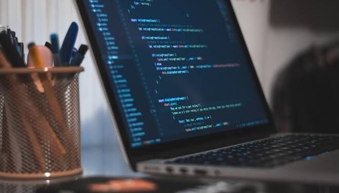 Why would you want to choose Software Developer remote jobs: A guide