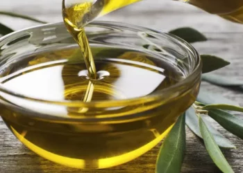 Wellhealthorganic.comdiet-for-excellent-skin-care-oil-is-an-essential-ingredient