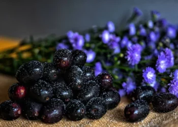 Wellhealthorganic.comweight-loss-in-monsoon-these-5-monsoon-fruits-can-help-you-lose-weight