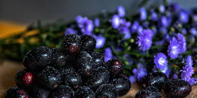 Wellhealthorganic.comweight-loss-in-monsoon-these-5-monsoon-fruits-can-help-you-lose-weight