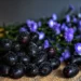 Wellhealthorganic.comweight-loss-in-monsoon-these-5-monsoon-fruits-can-help-you-lose-weight