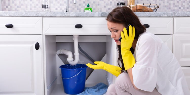 Ways to Prevent Plumbing Emergencies in Your Home