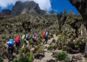 Mount Kenya Climbing