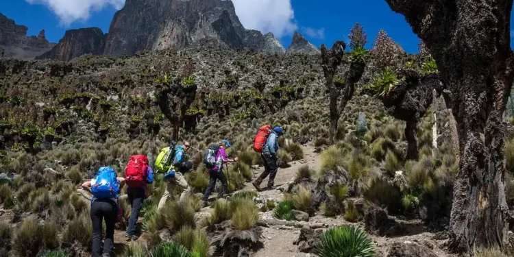 Mount Kenya Climbing