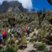 Mount Kenya Climbing