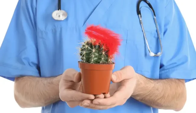 Why You Shouldn't Ignore Hemorrhoids - The Advantages of Professional Treatment
