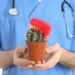 Why You Shouldn't Ignore Hemorrhoids - The Advantages of Professional Treatment