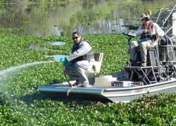 Aquatic Vegetation Management