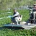 Aquatic Vegetation Management
