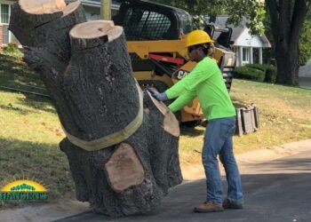 Tree Services
