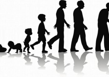 What to Expect as You Transition into Adulthood