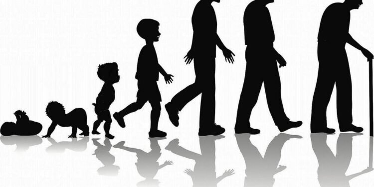 What to Expect as You Transition into Adulthood