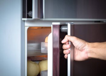 How a Well-Running Fridge Can Lower Your Energy Bills