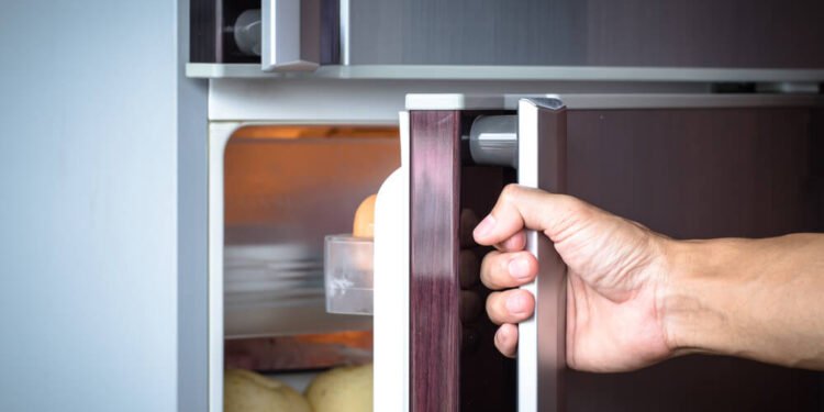 How a Well-Running Fridge Can Lower Your Energy Bills