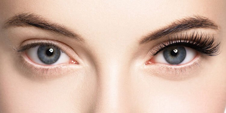 Eyelash