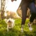 The Joys and Benefits of Owning a Dog