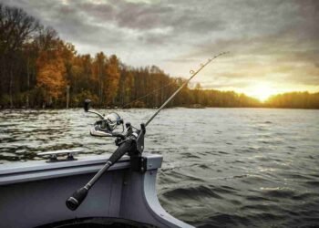 Choosing the Right Fishing Boat A Guide for Anglers of All Levels