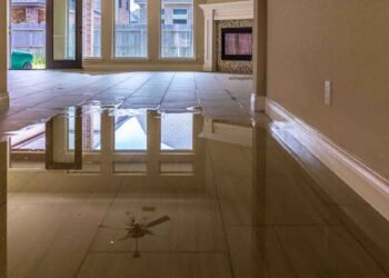Proactive Measures to Prevent Water Damage in Homes