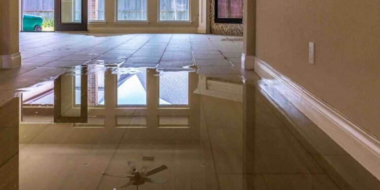 Proactive Measures to Prevent Water Damage in Homes