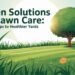 Green Solutions for Lawn Care Simple Steps to Healthier Yards