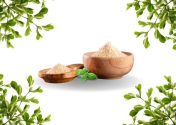 Top 10 Reasons to Try Maccun Plus Herbal Paste