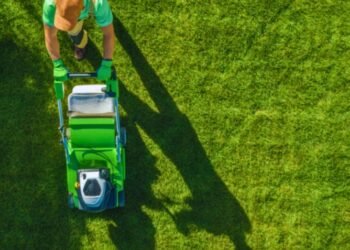 Innovative Strategies for Year-Round Lawn Care Services