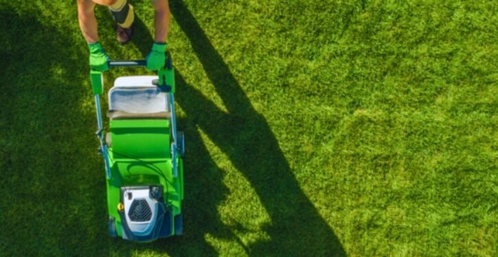 Innovative Strategies for Year-Round Lawn Care Services
