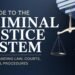 A Guide to the Criminal Justice System